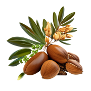 Argan oil - huile d'argan